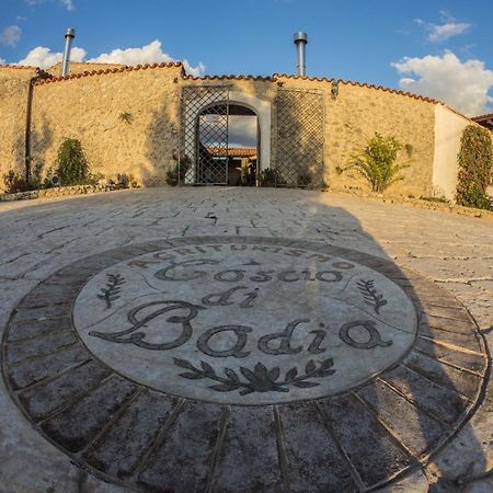 Coscio Di Badia Villa Naro ภายนอก รูปภาพ