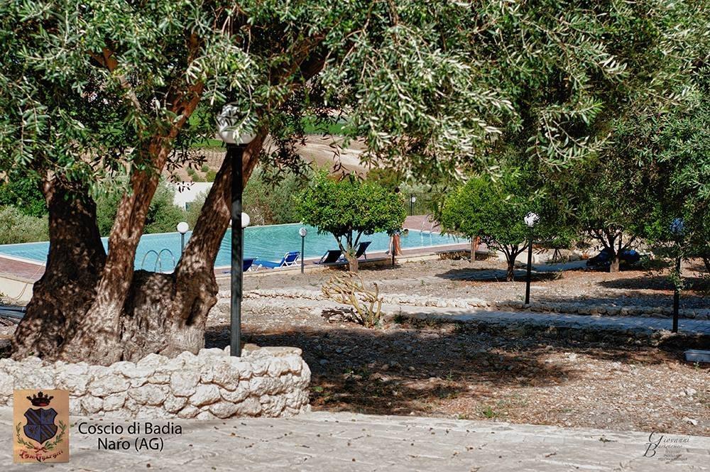 Coscio Di Badia Villa Naro ภายนอก รูปภาพ