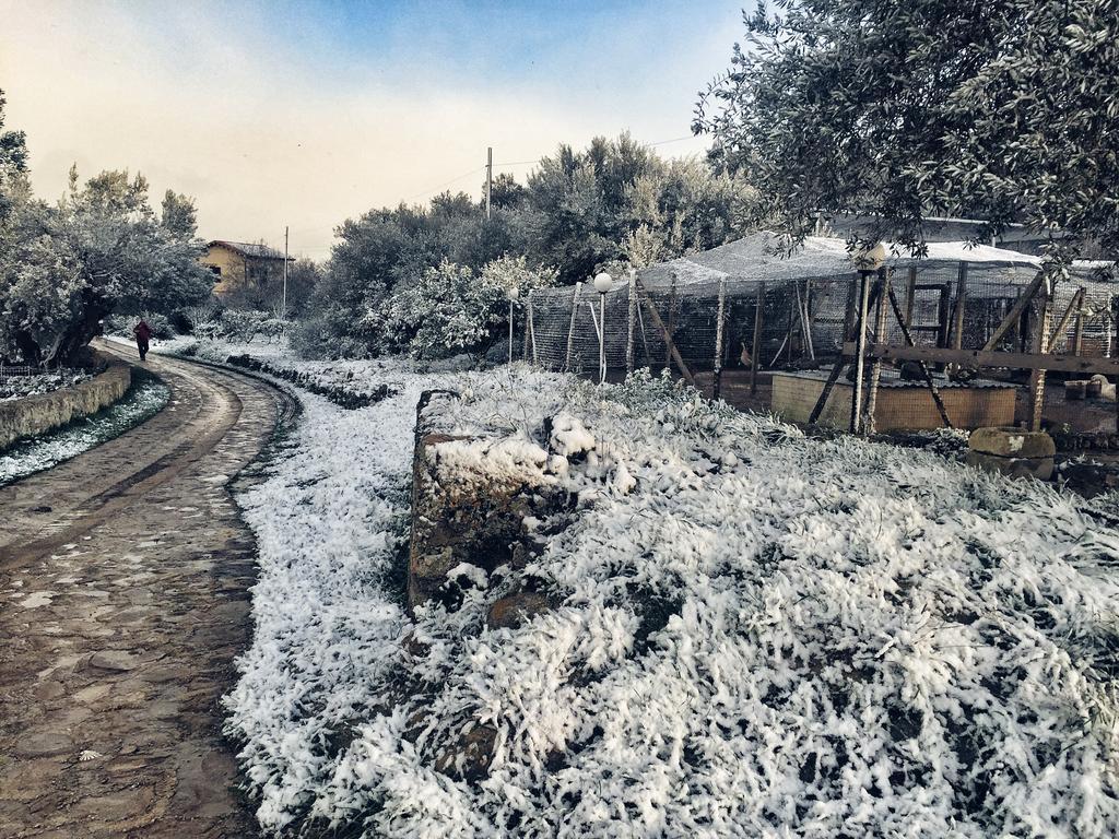 Coscio Di Badia Villa Naro ภายนอก รูปภาพ